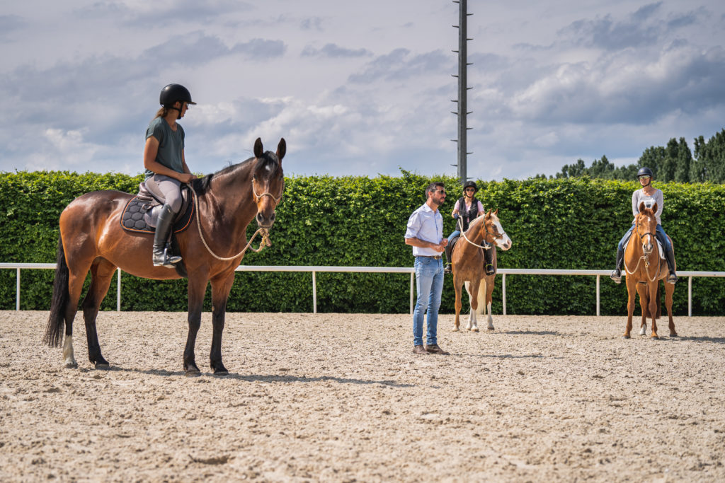 Cours d'équitation avec Maxime Baticle Horseman Science